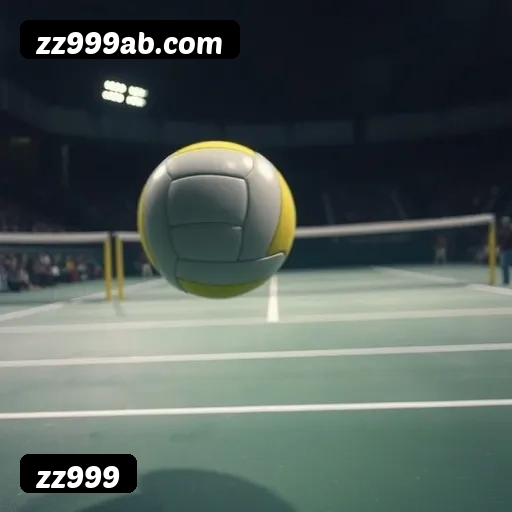 Imagem secundária de apoio para instalação do app zz999